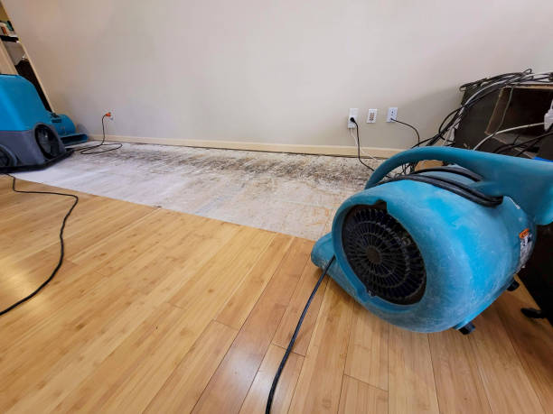 Professional Water Damage Repair technician working in Buena Vista, GA